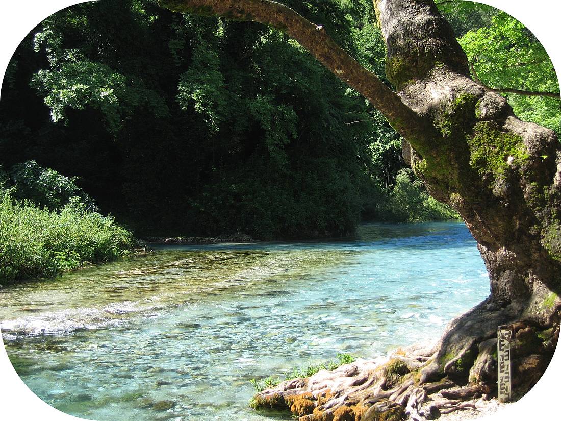 rivière rivière