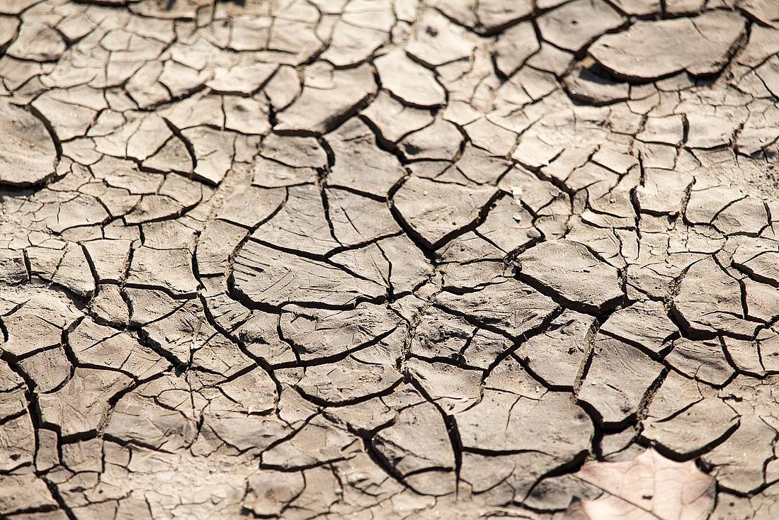 texte atlernatif